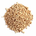 Black Urad Dal Idli/Barley