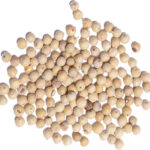 White Pepper Whole