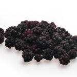 OLIVIVERO IQF Blackberry 1x250g