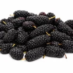 OLIVIVERO IQF Mulberry 1x10x1kg