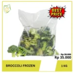 OLIVIVERO IQF Broccoli 1x10x1kg