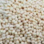 SUN FOOD Lentil White Whole 1x10x1kg