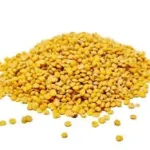 SUN FOOD Lentil Yellow Whole 1x10x1kg