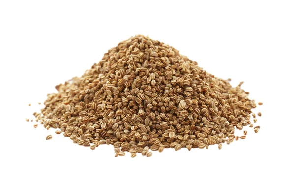 SIR JOHN Celery Seed 500g SIR JOHN Celery Seed 500g - Image 1